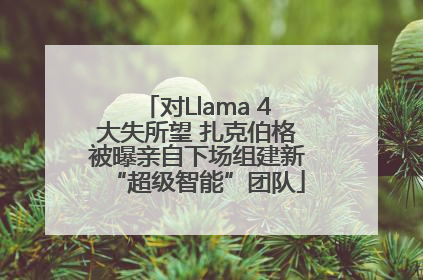 对Llama 4大失所望 扎克伯格被曝亲自下场组建新“超级智能”团队