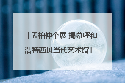 孟柏伸个展 揭幕呼和浩特西贝当代艺术馆