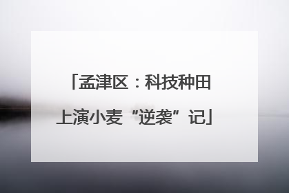孟津区：科技种田 上演小麦“逆袭”记