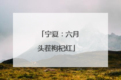 宁夏：六月头茬枸杞红
