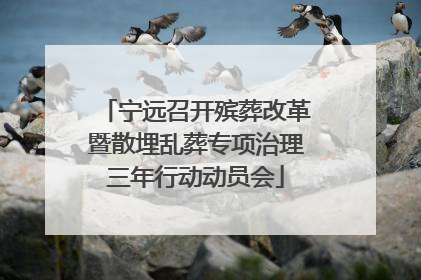 宁远召开殡葬改革暨散埋乱葬专项治理三年行动动员会