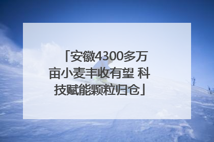 安徽4300多万亩小麦丰收有望 科技赋能颗粒归仓