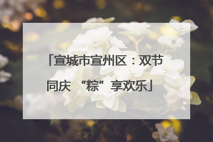 宣城市宣州区：双节同庆 “粽”享欢乐