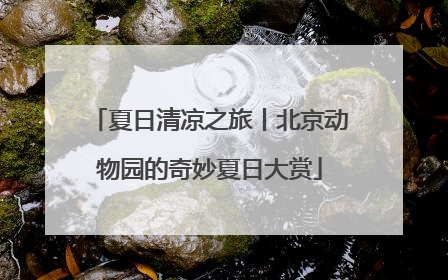 夏日清凉之旅丨北京动物园的奇妙夏日大赏