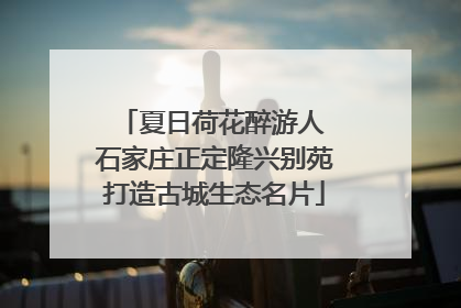 夏日荷花醉游人 石家庄正定隆兴别苑打造古城生态名片