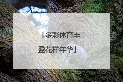 多彩体育丰盈花样年华