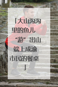 大山沟沟里的鱼儿 “游”出山 端上成渝市民的餐桌