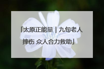 太原正能量｜九旬老人摔伤 众人合力救助