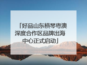 好品山东横琴粤澳深度合作区品牌出海中心正式启动