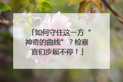 如何守住这一方“神奇的曲线”？检察官们步履不停！