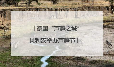 德国“芦笋之城”贝利茨举办芦笋节
