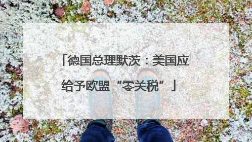 德国总理默茨：美国应给予欧盟“零关税”