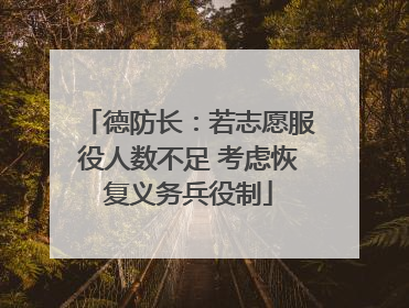 德防长：若志愿服役人数不足 考虑恢复义务兵役制