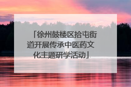 徐州鼓楼区拾屯街道开展传承中医药文化主题研学活动
