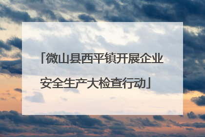 微山县西平镇开展企业安全生产大检查行动