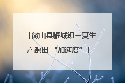 微山县驩城镇三夏生产跑出 “加速度”