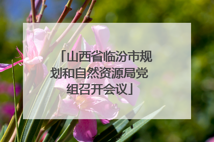 山西省临汾市规划和自然资源局党组召开会议