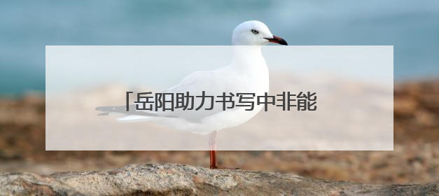 岳阳助力书写中非能源绿色发展新篇章