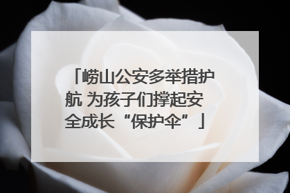 崂山公安多举措护航 为孩子们撑起安全成长“保护伞”