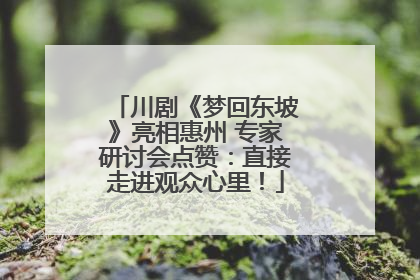 川剧《梦回东坡》亮相惠州 专家研讨会点赞：直接走进观众心里！