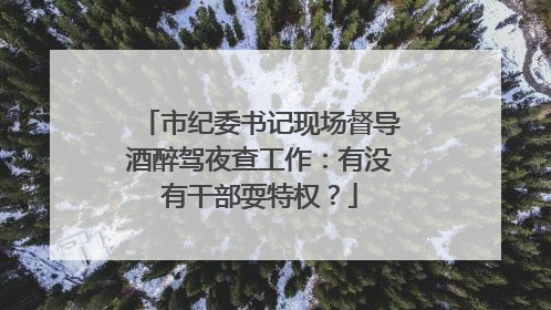 市纪委书记现场督导酒醉驾夜查工作：有没有干部耍特权？