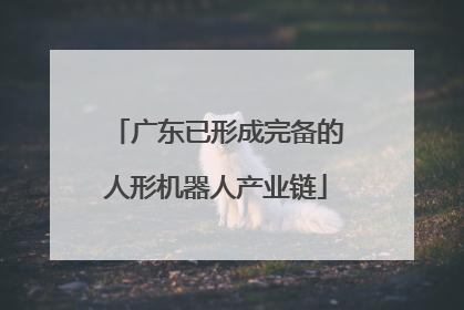 广东已形成完备的人形机器人产业链