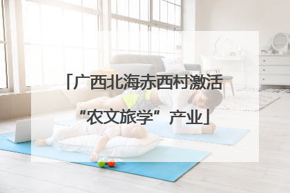 广西北海赤西村激活“农文旅学”产业