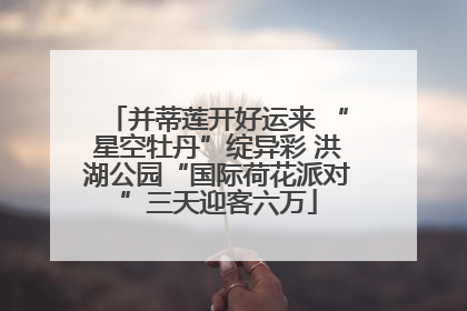 并蒂莲开好运来 “星空牡丹”绽异彩 洪湖公园“国际荷花派对”三天迎客六万