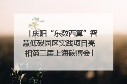 庆阳“东数西算”智慧低碳园区实践项目亮相第三届上海碳博会