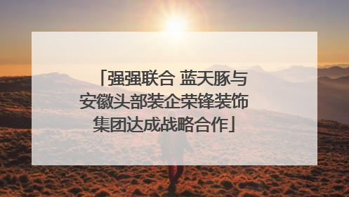 强强联合 蓝天豚与安徽头部装企荣锋装饰集团达成战略合作