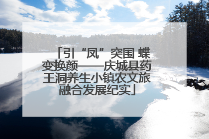 引“凤”突围 蝶变换颜——庆城县药王洞养生小镇农文旅融合发展纪实