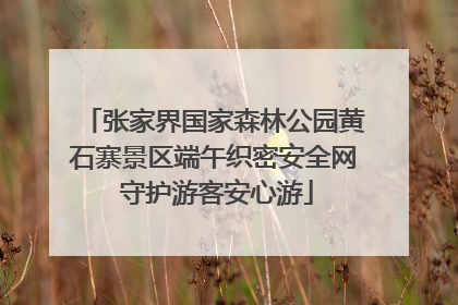 张家界国家森林公园黄石寨景区端午织密安全网 守护游客安心游