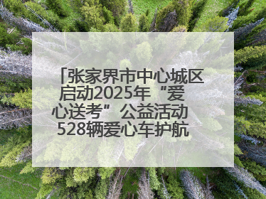 张家界市中心城区启动2025年“爱心送考”公益活动 528辆爱心车护航高考学子