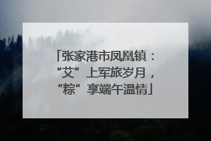 张家港市凤凰镇：“艾”上军旅岁月，“粽”享端午温情