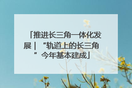 推进长三角一体化发展｜“轨道上的长三角”今年基本建成