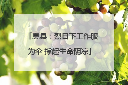 息县：烈日下工作服为伞 撑起生命阴凉