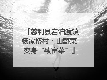 慈利县岩泊渡镇杨家桥村：山野菜变身“致富菜”