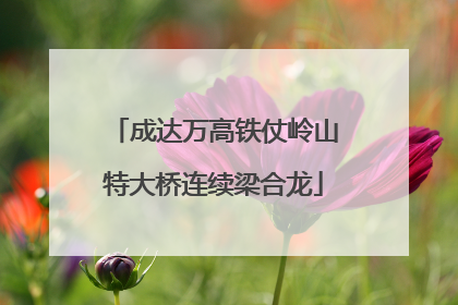 成达万高铁仗岭山特大桥连续梁合龙