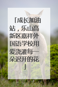 成长加油站，乐山高新区嘉祥外国语学校用爱浇灌每一朵迟开的花