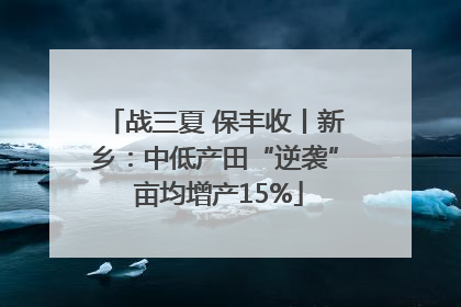 战三夏 保丰收丨新乡：中低产田“逆袭” 亩均增产15%