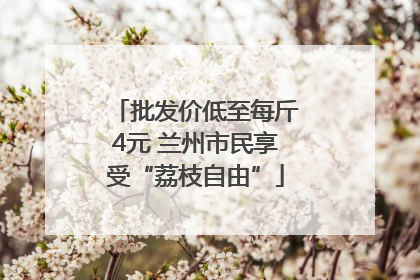 批发价低至每斤4元 兰州市民享受“荔枝自由”
