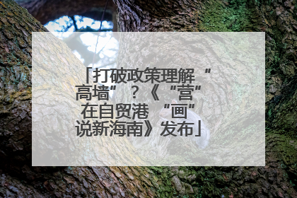 打破政策理解“高墙”？《“营”在自贸港 “画”说新海南》发布