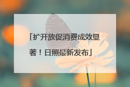 扩开放促消费成效显著！日照最新发布