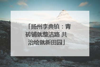 扬州李典镇：青砖铺就整洁路 共治绘就新田园