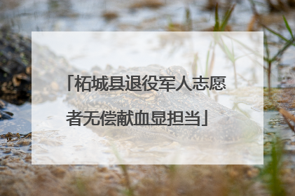 柘城县退役军人志愿者无偿献血显担当