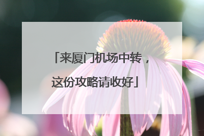 来厦门机场中转，这份攻略请收好