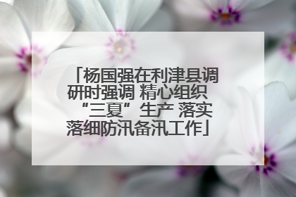 杨国强在利津县调研时强调 精心组织“三夏”生产 落实落细防汛备汛工作