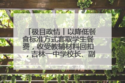 极目政情丨以降低餐食标准方式套取学生餐费，收受教辅材料回扣，吉林一中学校长、副校长均被“双开”