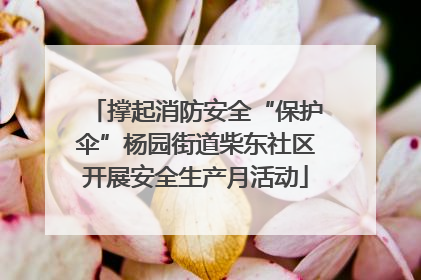 撑起消防安全“保护伞”杨园街道柴东社区开展安全生产月活动