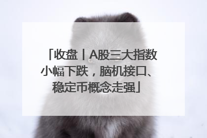 收盘丨A股三大指数小幅下跌，脑机接口、稳定币概念走强